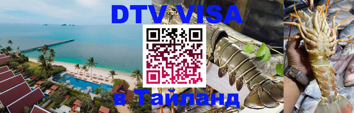 Оформление DTV визы под ключ: стоимость и тарифы, только загранпаспорт - 