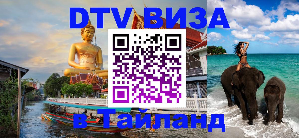 Оформление DTV визы под ключ: стоимость и тарифы, только загранпаспорт - 20.11.2025 